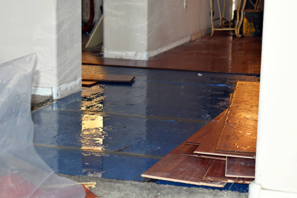Professional Sewage Cleanup technician working in Sharon, MA